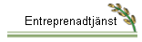 Entreprenadtjnst